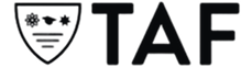 MLM_Logo02